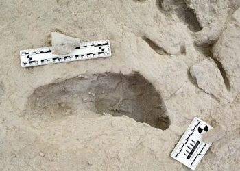 Arqueologia: Fósseis de pegadas eternizam momento em que duas espécies humanas se cruzaram