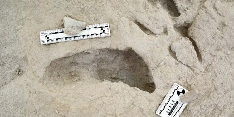 Arqueologia: Fósseis de pegadas eternizam momento em que duas espécies humanas se cruzaram