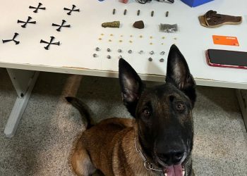 Guarapari: PM apreende duas armas de fogo e drogas durante o final de semana