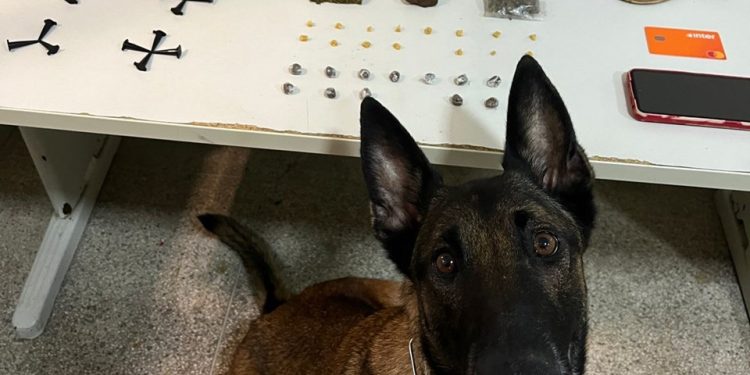 Guarapari: PM apreende duas armas de fogo e drogas durante o final de semana