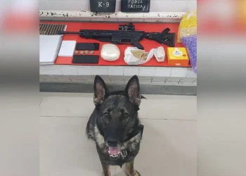 Anchieta: Duplo homicídio de Iriri aponta ligação com o tráfico de drogas