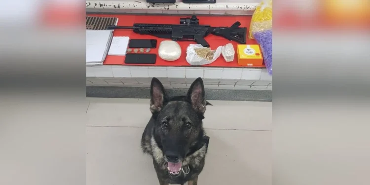 Anchieta: Duplo homicídio de Iriri aponta ligação com o tráfico de drogas