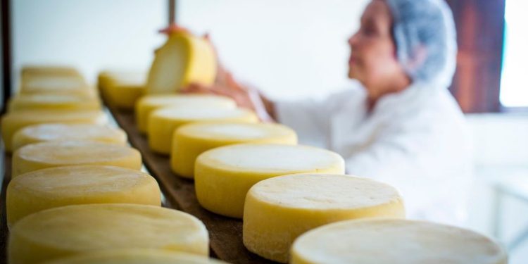 Turismo: Modos de Fazer o Queijo Minas Artesanal se tornam o 7° Patrimônio Cultural Imaterial da Humanidade brasileiro