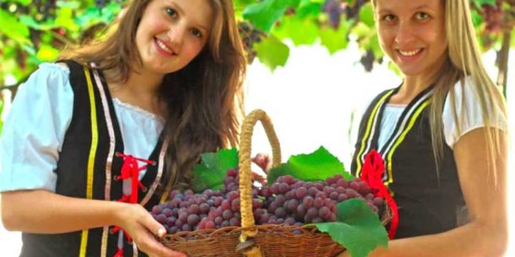 Alfredo Chaves: Confira a programação da 59ª Festa da Uva do Vinho