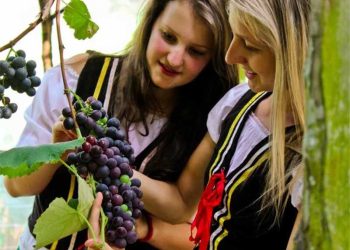 Alfredo Chaves: São Bento de Urânia sedia a 59ª edição da Festa da Uva e do Vinho