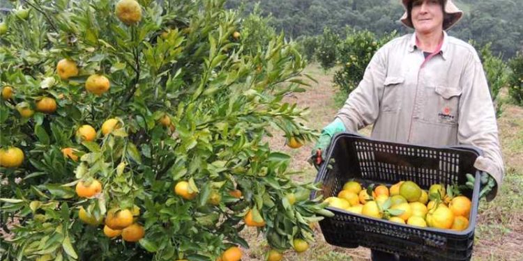 Alfredo Chaves: Agricultura inicia reuniões com comunidades rurais e associações