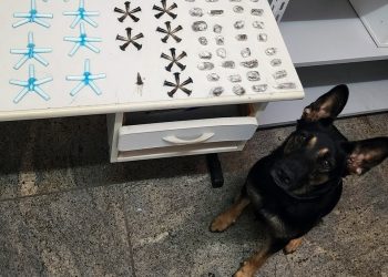 Guarapari: PM apreende drogas com apoio da equipe K9