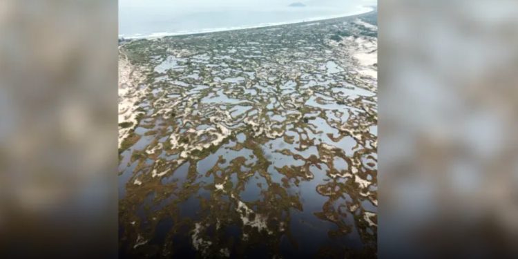 Florianópolis: Chuva forma piscina natural entre dunas de praia