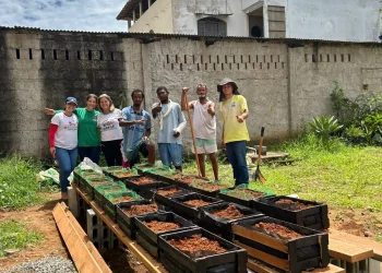 Guarapari: Parceria leva horta comunitária até o Centro Pop