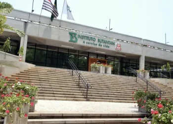 Brasil: Butantan inicia produção das vacinas de dengue antes de liberação da Anvisa