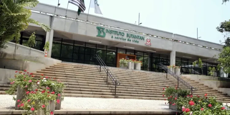 Brasil: Butantan inicia produção das vacinas de dengue antes de liberação da Anvisa