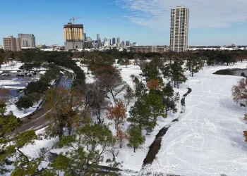 EUA: Rara tempestade de neve cobre Houston e Nova Orleans de branco
