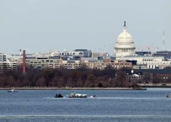 EUA: Ao menos 2 mortos no acidente aéreo eram da América Latina