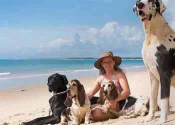 Turismo: Viajar ou não com os pets nas férias