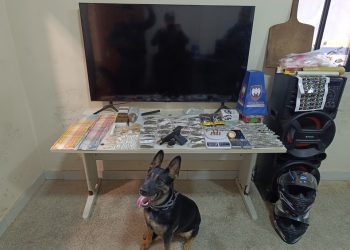 Guarapari: 10º BPM intensifica o combate ao tráfico e apreende drogas e arma