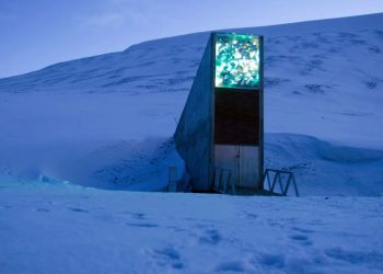 Ártico: Cofre do “juízo final” recebe mais de 14 mil novas sementes