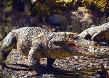 Brasil: Fóssil de 237 milhões de anos, anterior aos dinossauros, é achado no Rio Grande do Sul