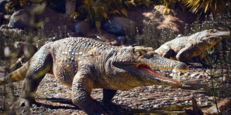 Brasil: Fóssil de 237 milhões de anos, anterior aos dinossauros, é achado no Rio Grande do Sul