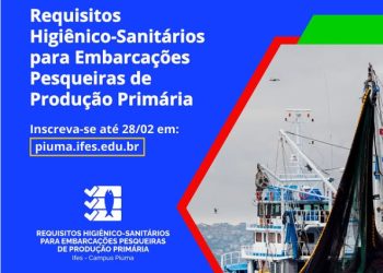 Piúma: Ifes abre inscrições para curso on-line e gratuito