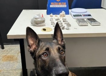 Guarapari: PM apresenta balanço das apreensões do final de semana