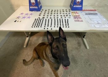 Guarapari: Polícia Militar realiza apreensões durante o final de semana