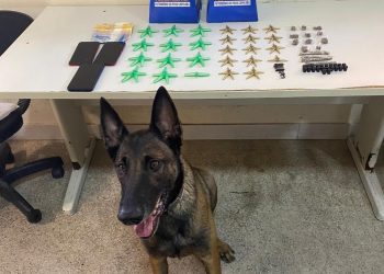 Guarapari: 10º BPM realiza apreensões de drogas e prisões