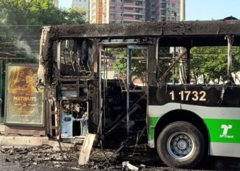 São Paulo: Avião cai em rodovia atingindo ônibus com 30 passageiros