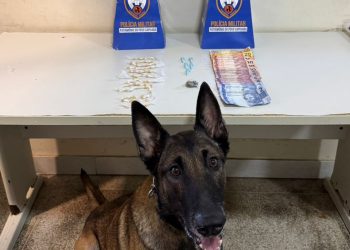 Guarapari: Polícia Militar realiza apreensões e recupera veículo roubado