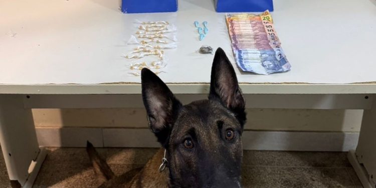 Guarapari: Polícia Militar realiza apreensões e recupera veículo roubado