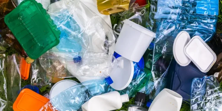 Ciência: Brasileiros encontram bactéria que transforma lixo plástico em bioplástico