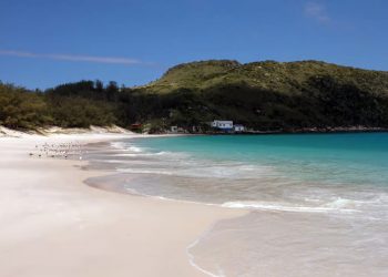 Turismo: Descubra onde fica a praia ‘mais perfeita’ do Brasil