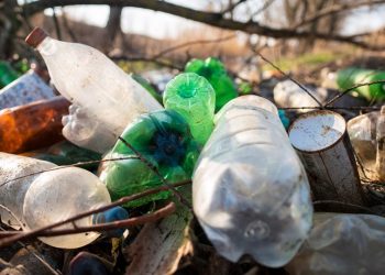 Espírito Santo: Últimos dias para participar da Consulta Pública sobre serviços de limpeza urbana e manejo de resíduos sólidos