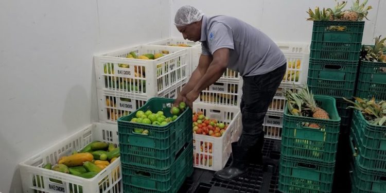 Cachoeiro de Itapemirim: Banco de Alimentos promove combate à fome e ao desperdício