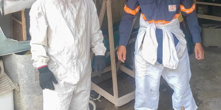 Anchieta: Prefeitura recolhe abelhas que botavam população de Mãe-Bá em risco