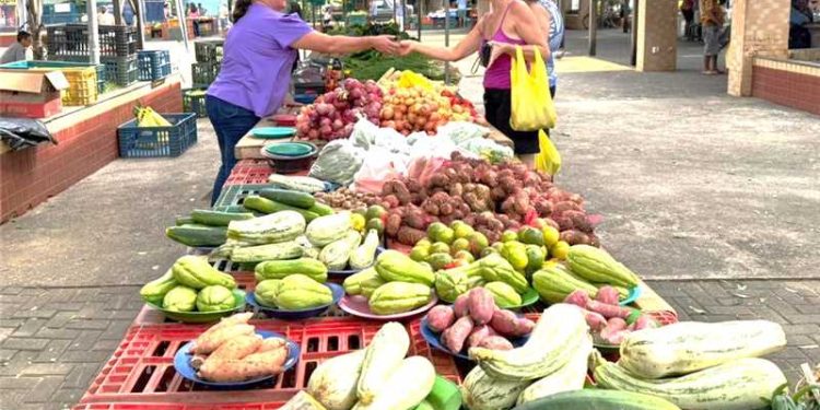 Alfredo Chaves: Prefeitura faz Chamada Pública para aquisição de alimentos da agricultura familiar