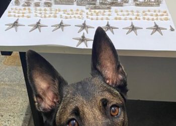 Guarapari: Polícia Militar apreende drogas e recupera produtos de furto e roubo