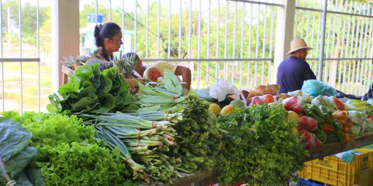 Itapemirim: Prefeitura inicia visitas técnicas a produtores rurais do programa Vale Feira 2025
