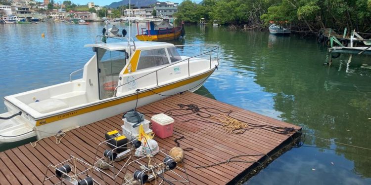 Guarapari: Pesquisa monitora peixes recifais nas ilhas do litoral