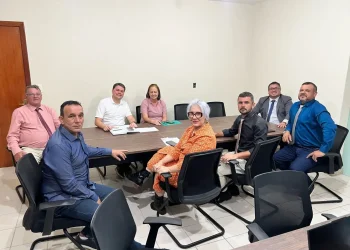 Câmara de Anchieta: Vereadores debatem implantação de Pronto-Socorro Infantil no município