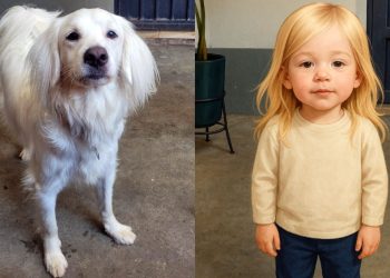 Inteligência Artificial: Veja tutorial de como transformar seu pet em criança com o ChatGPT