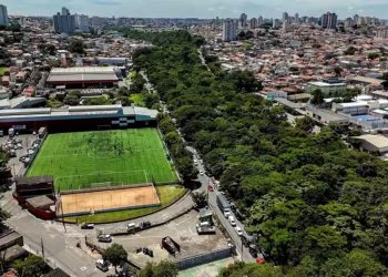 São Paulo: Floresta ‘brota’ no meio do entulho com plantio de 41 mil mudas