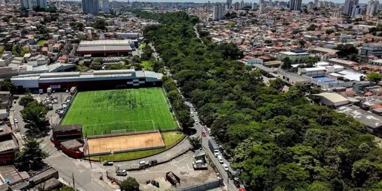 São Paulo: Floresta ‘brota’ no meio do entulho com plantio de 41 mil mudas