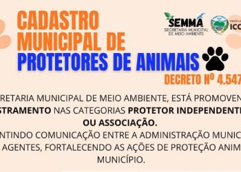 Iconha: Prefeitura abre cadastro para Protetores de Animais fortalecendo rede de proteção