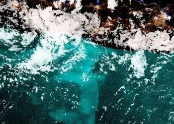 “Mares leitosos”: Cientistas estudam mistério de brilho no oceano relatado por 400 anos