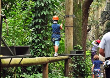 Turismo: Trilhas tranquilas para famílias com crianças pequenas