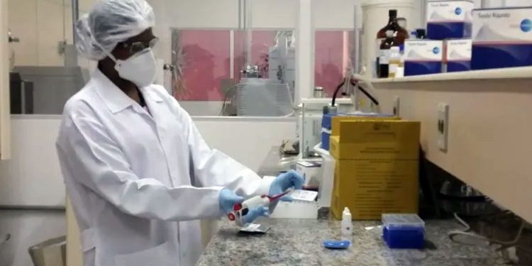 Saúde: Primeira vacina brasileira contra gripe aviária entrará em fase de testes