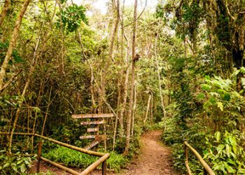 Turismo: São Paulo inaugura a maior trilha da cidade com 182 km de natureza e ecoturismo