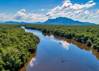 Espírito Santo: Governo institui Política Estadual de Biodiversidade e lança novo programa de conservação ambiental