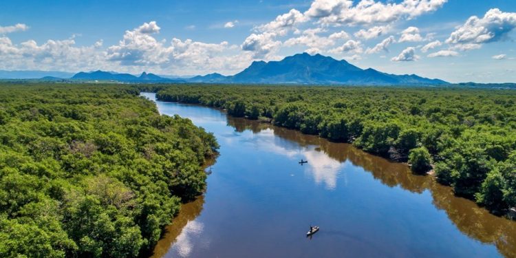 Espírito Santo: Governo institui Política Estadual de Biodiversidade e lança novo programa de conservação ambiental