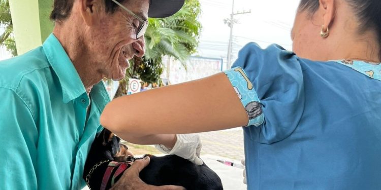 Anchieta: Vacinação contra a raiva segue no interior